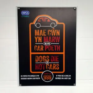 cheap-correx-board-signs