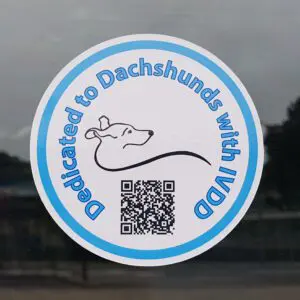 self-cling-vinyl-window-stickers